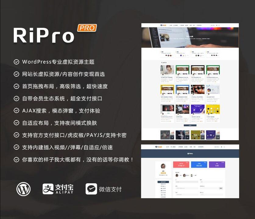 最新版本RiPro6.2主题授权破解无限制版本 下载-86资源网