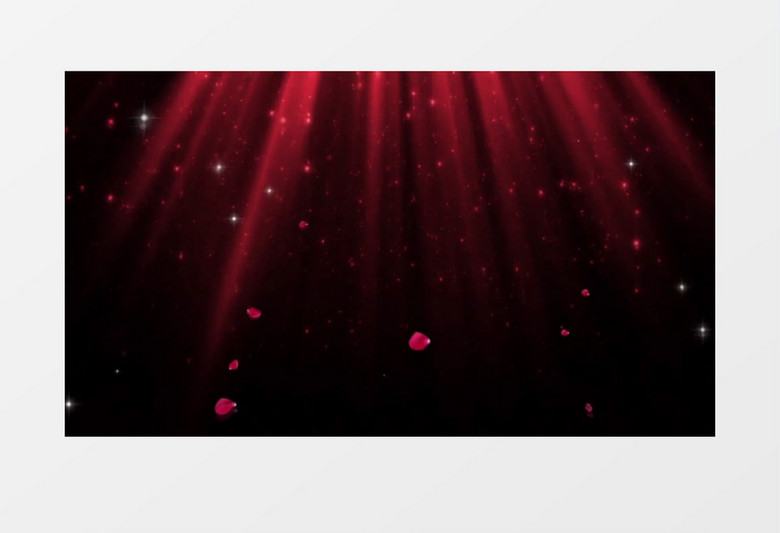 动画动态玫瑰花瓣星光背景视频素材