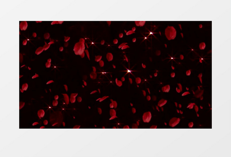 动画动态红色玫瑰花瓣飘落背景视频素材