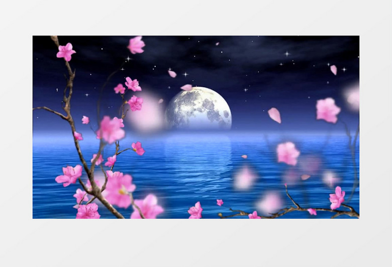 唯美月亮桃花流星背景视频
