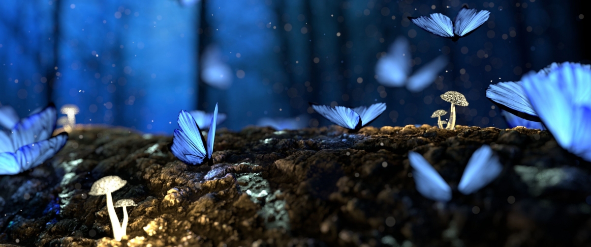 唯美夜晚蓝色蝴蝶4k高清动物壁纸下载3440×1440-86资源网